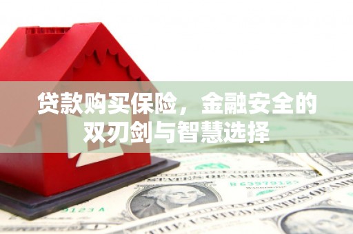乐亭贷款购买保险，金融安全的双刃剑与智慧选择