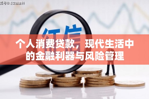 乐亭个人消费贷款，现代生活中的金融利器与风险管理