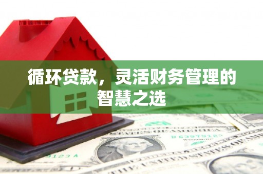 乐亭循环贷款，灵活财务管理的智慧之选