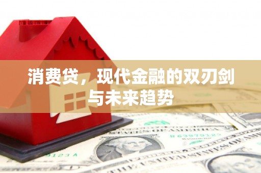 乐亭消费贷，现代金融的双刃剑与未来趋势