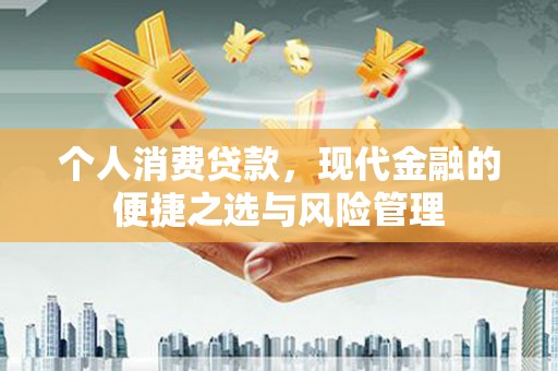 乐亭个人消费贷款，现代金融的便捷之选与风险管理
