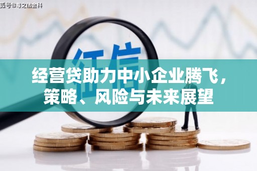 乐亭经营贷助力中小企业腾飞，策略、风险与未来展望