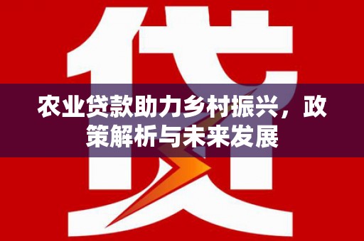 乐亭农业贷款助力乡村振兴，政策解析与未来发展