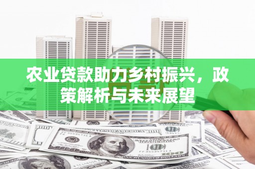 乐亭农业贷款助力乡村振兴，政策解析与未来展望