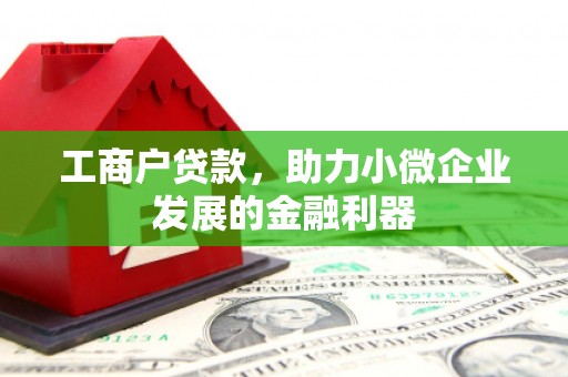 乐亭工商户贷款，助力小微企业发展的金融利器