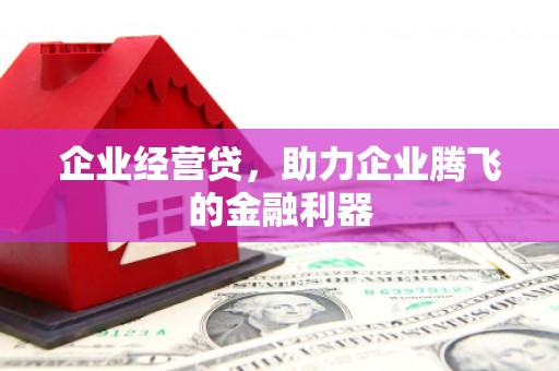 乐亭企业经营贷，助力企业腾飞的金融利器