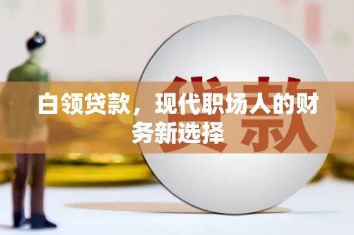 乐亭白领贷款，现代职场人的财务新选择