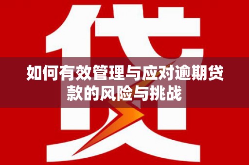 乐亭如何有效管理与应对逾期贷款的风险与挑战