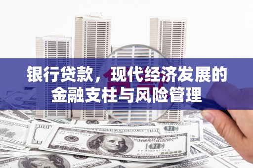 乐亭银行贷款，现代经济发展的金融支柱与风险管理