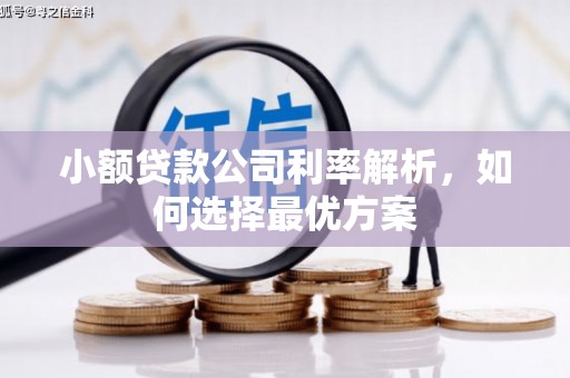 乐亭小额贷款公司利率解析，如何选择最优方案