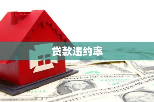 乐亭贷款违约率