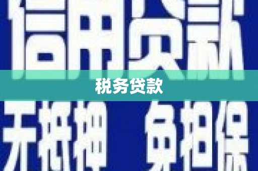 乐亭税务贷款
