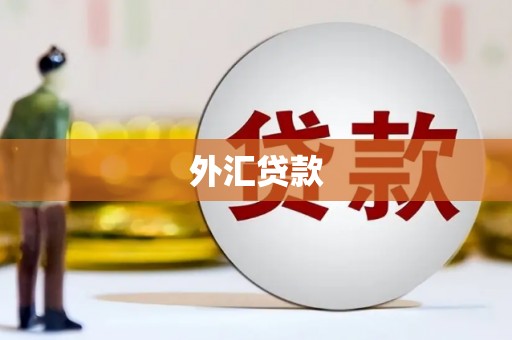乐亭外汇贷款