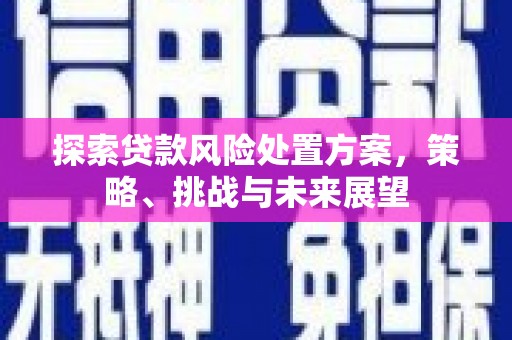 乐亭探索贷款风险处置方案，策略、挑战与未来展望