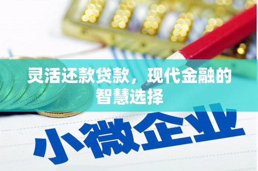 乐亭灵活还款贷款，现代金融的智慧选择
