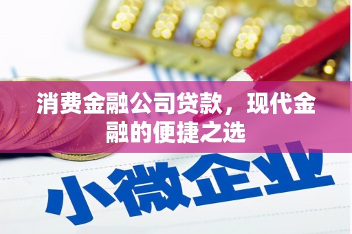 乐亭消费金融公司贷款，现代金融的便捷之选