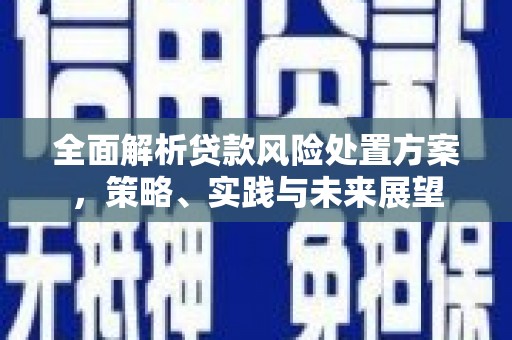 乐亭全面解析贷款风险处置方案，策略、实践与未来展望
