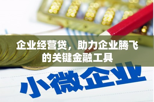 乐亭企业经营贷，助力企业腾飞的关键金融工具