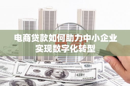 乐亭电商贷款如何助力中小企业实现数字化转型