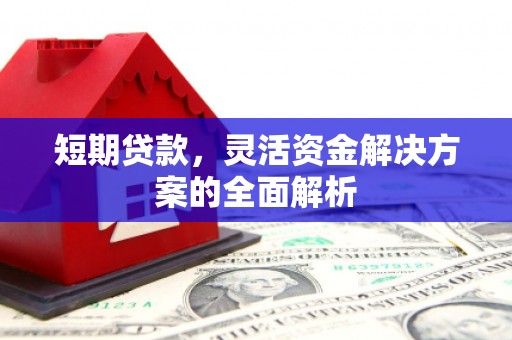 乐亭短期贷款，灵活资金解决方案的全面解析