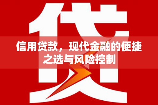乐亭信用贷款，现代金融的便捷之选与风险控制