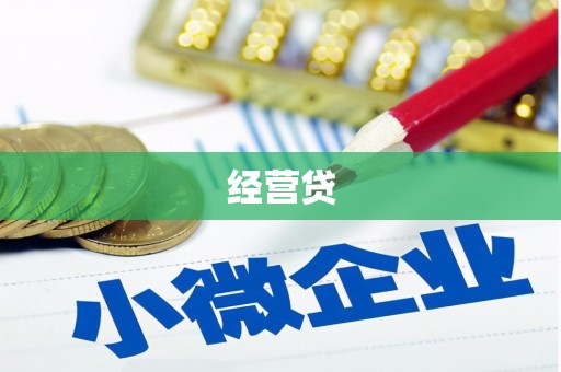 乐亭经营贷