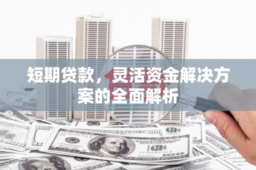 乐亭短期贷款，灵活资金解决方案的全面解析