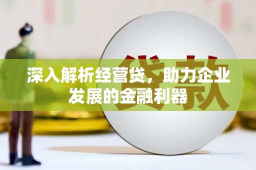 乐亭深入解析经营贷，助力企业发展的金融利器