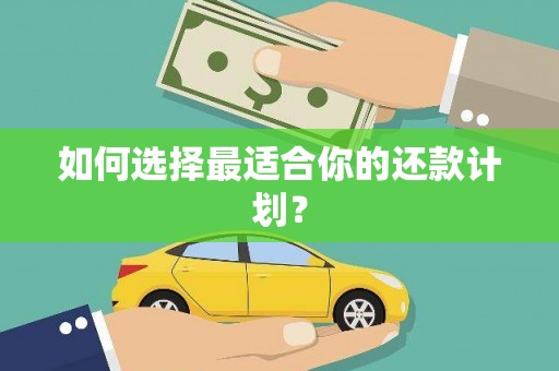 乐亭如何选择最适合你的还款计划？