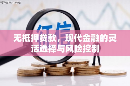 乐亭无抵押贷款，现代金融的灵活选择与风险控制