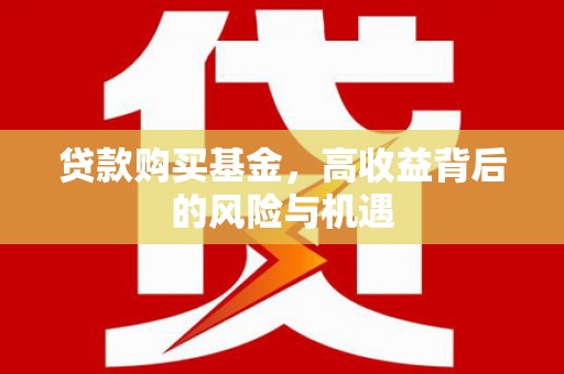 乐亭贷款购买基金，高收益背后的风险与机遇
