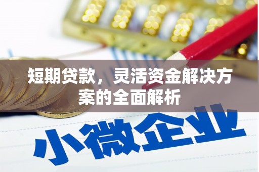 乐亭短期贷款，灵活资金解决方案的全面解析