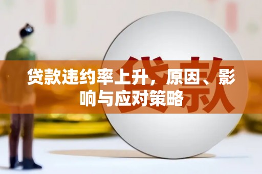乐亭贷款违约率上升，原因、影响与应对策略