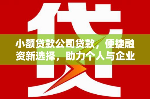 乐亭小额贷款公司贷款，便捷融资新选择，助力个人与企业成长
