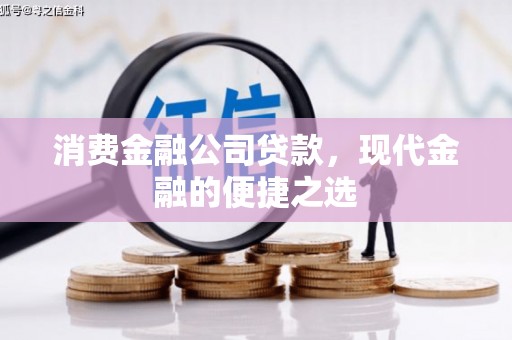 乐亭消费金融公司贷款，现代金融的便捷之选