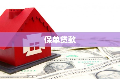 乐亭保单贷款