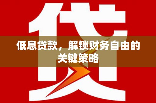 乐亭低息贷款，解锁财务自由的关键策略