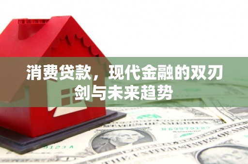 乐亭消费贷款，现代金融的双刃剑与未来趋势