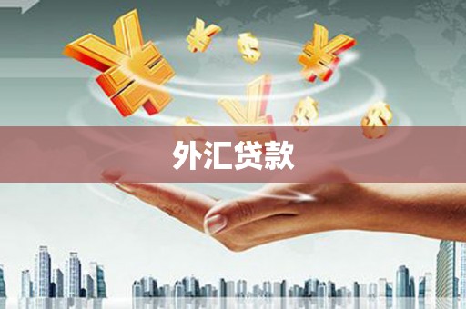 乐亭外汇贷款