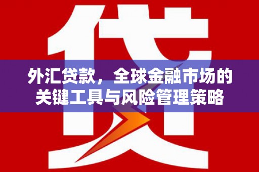 乐亭外汇贷款，全球金融市场的关键工具与风险管理策略