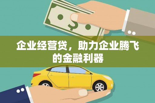 乐亭企业经营贷，助力企业腾飞的金融利器