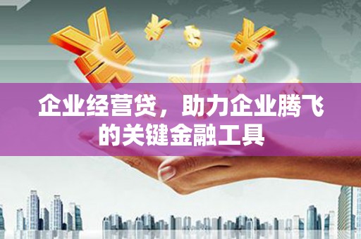 乐亭企业经营贷，助力企业腾飞的关键金融工具