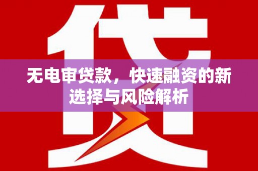 乐亭无电审贷款，快速融资的新选择与风险解析