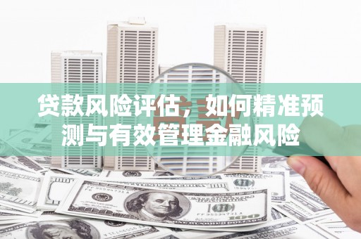 乐亭贷款风险评估，如何精准预测与有效管理金融风险