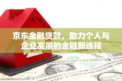 乐亭京东金融贷款，助力个人与企业发展的金融新选择
