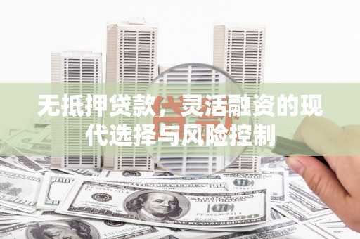 乐亭无抵押贷款，灵活融资的现代选择与风险控制