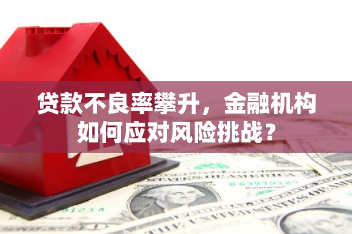 乐亭贷款不良率攀升，金融机构如何应对风险挑战？