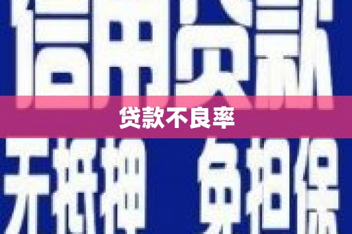 乐亭贷款不良率