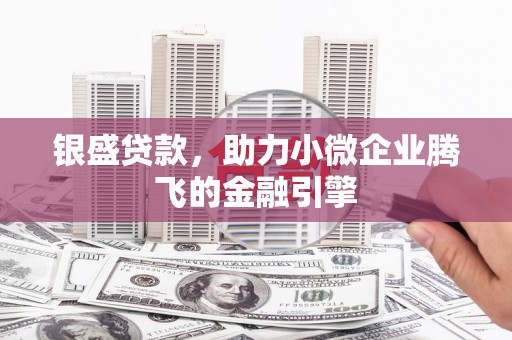 乐亭银盛贷款，助力小微企业腾飞的金融引擎