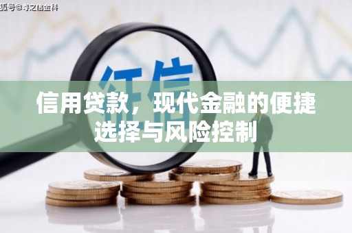 乐亭信用贷款，现代金融的便捷选择与风险控制